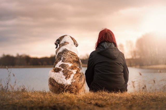 Comment choisir un animal de compagnie pour son enfant?